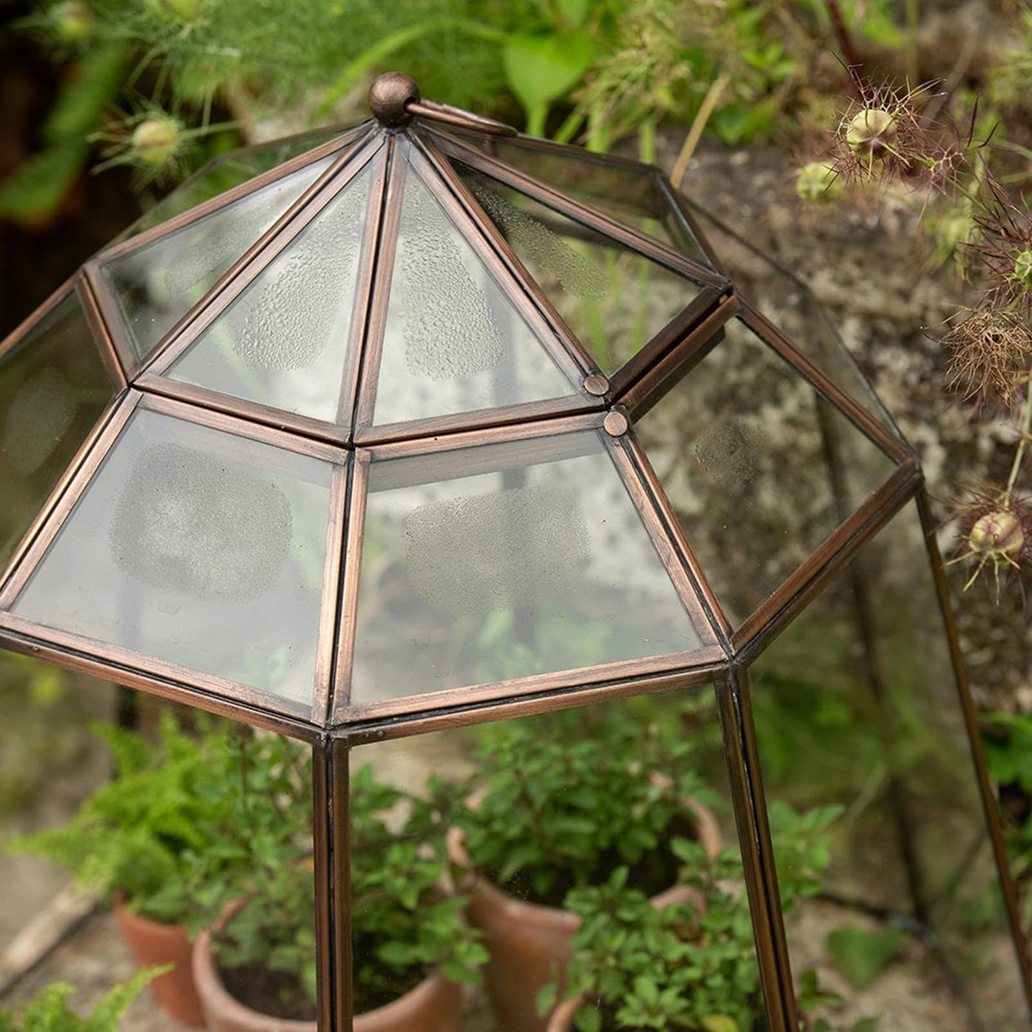 Crocus Collection 52cm Victorian Lidded Bronze Lantern Cloche Growhouse Brass Glass Plant Frost Protection Decoration