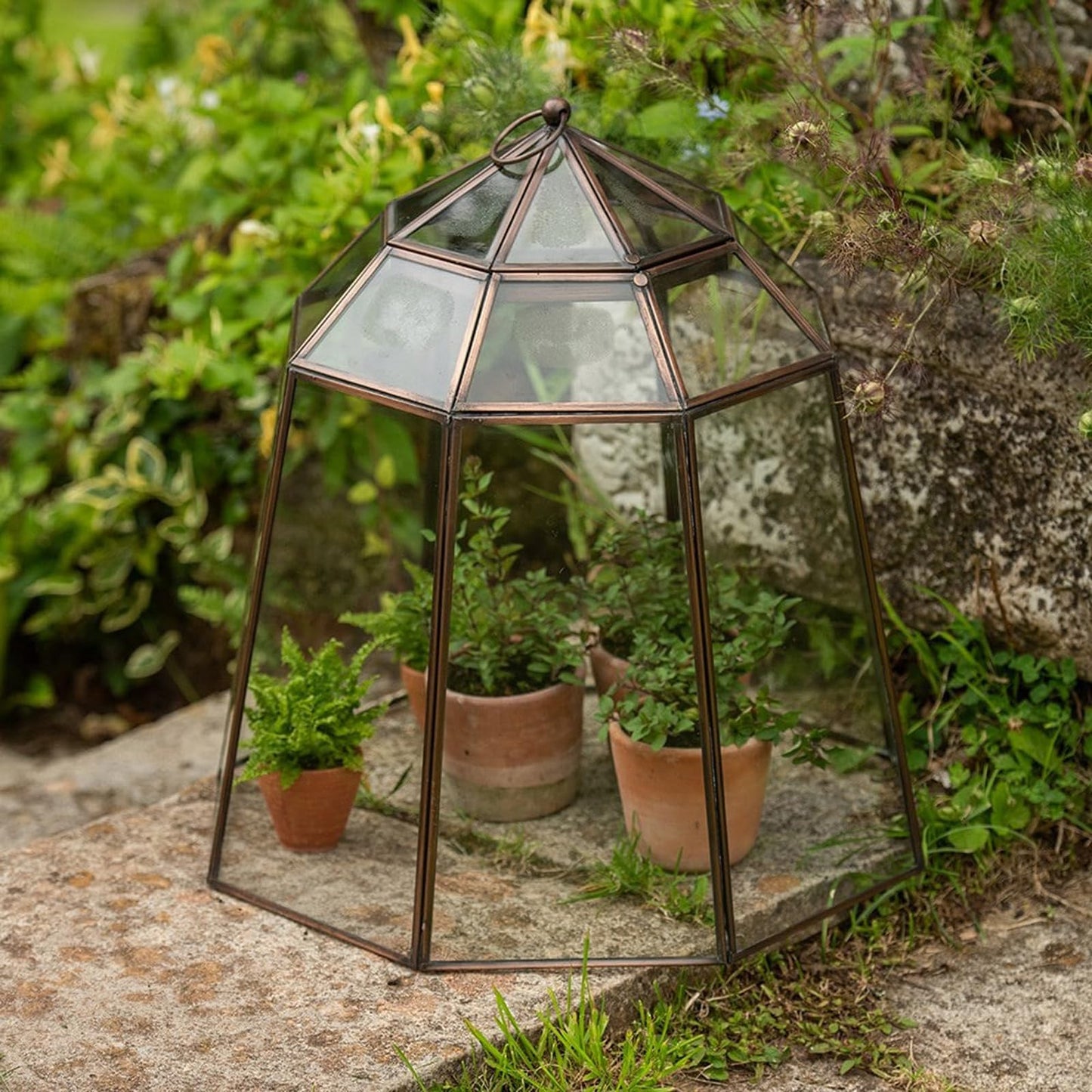 Crocus Collection 52cm Victorian Lidded Bronze Lantern Cloche Growhouse Brass Glass Plant Frost Protection Decoration