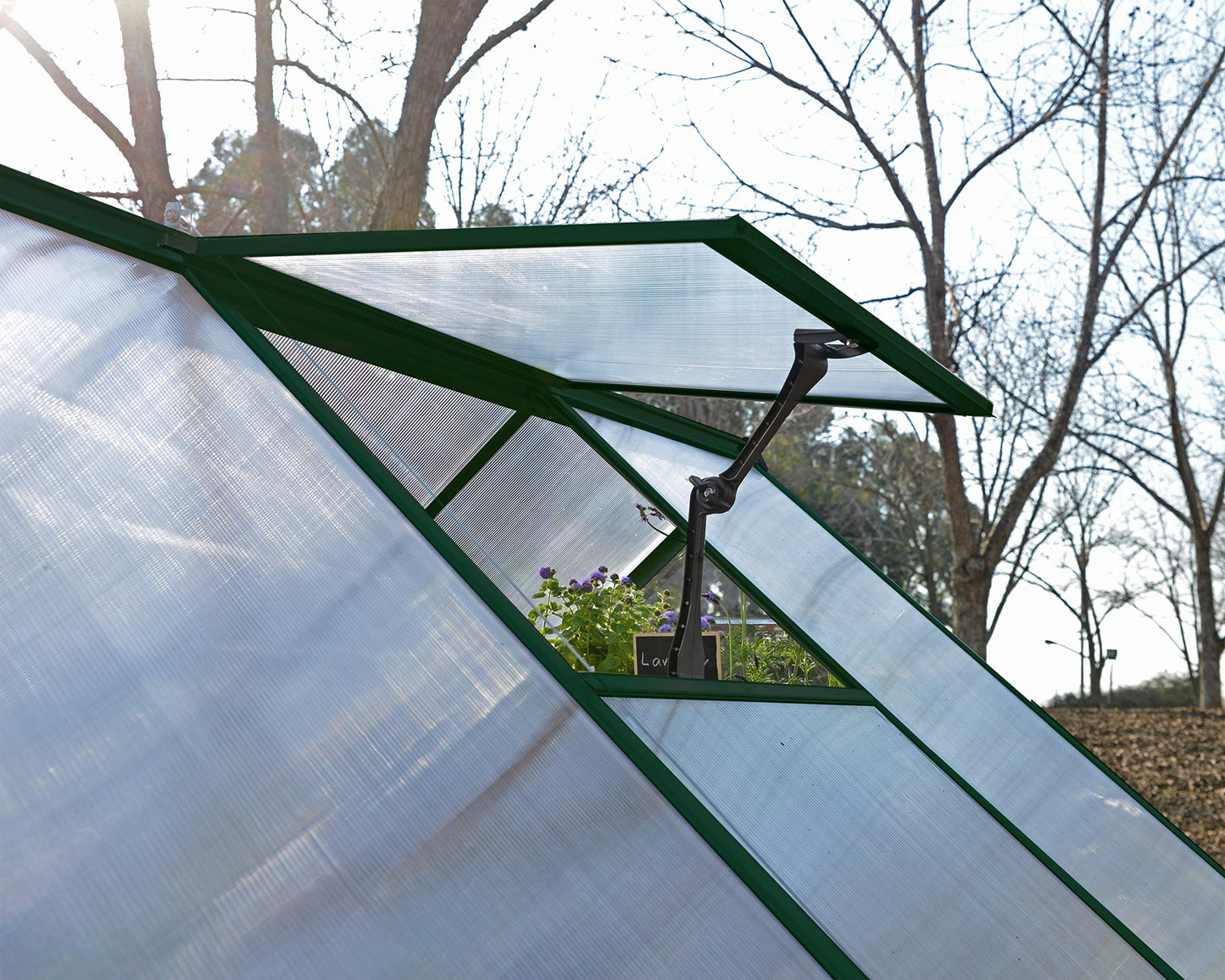 Palram Canopia Hybrid Greenhouse 6x10 Green