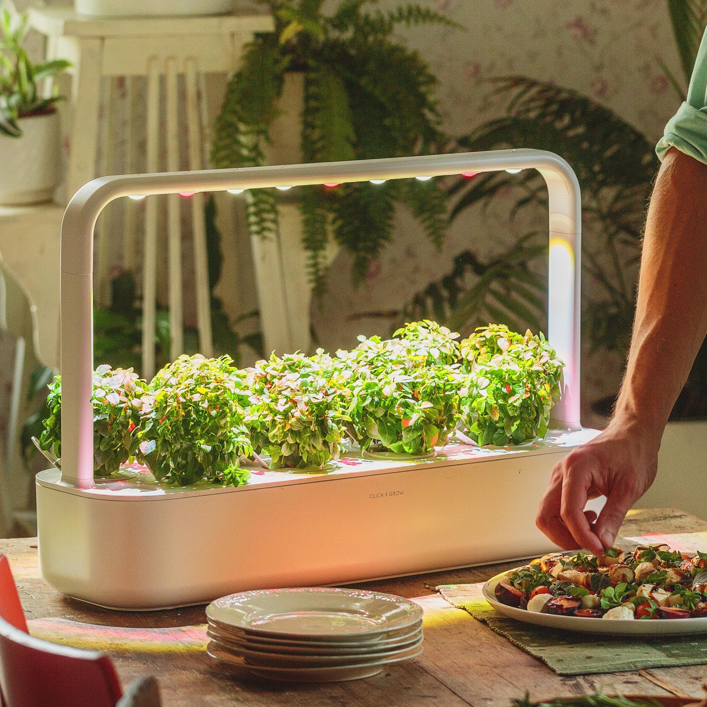 Click & Grow Indoor Herb Garden Kit with Grow Light | Easier than Hydroponics Growing System | Smart Garden for Home Kitchen Windowsill | Vegetable & Herb Garden Starter Kit with 9 plant pods, White