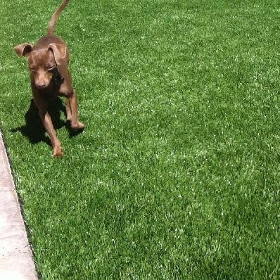 40mm Artificial Grass Realistic and Natural Looking Fake Lawn Astro Turf 1m, 1.5m, 2m, 3m, 4m & 5m Widths | 2m x 9m