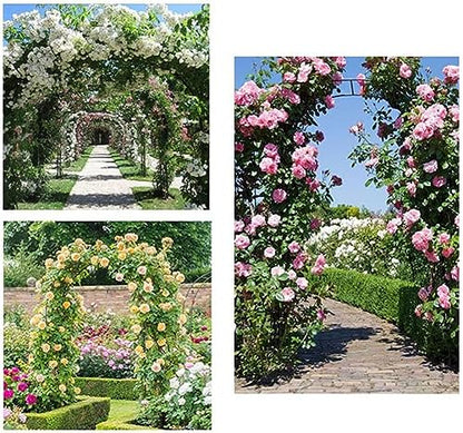 XFQZJG Garden Arch,Large Metal Garden Arch For Climbing Plants, Strong And Durable Rose Arch, Weather-resistant Iron Pipe Gazebo Pergola Trellis