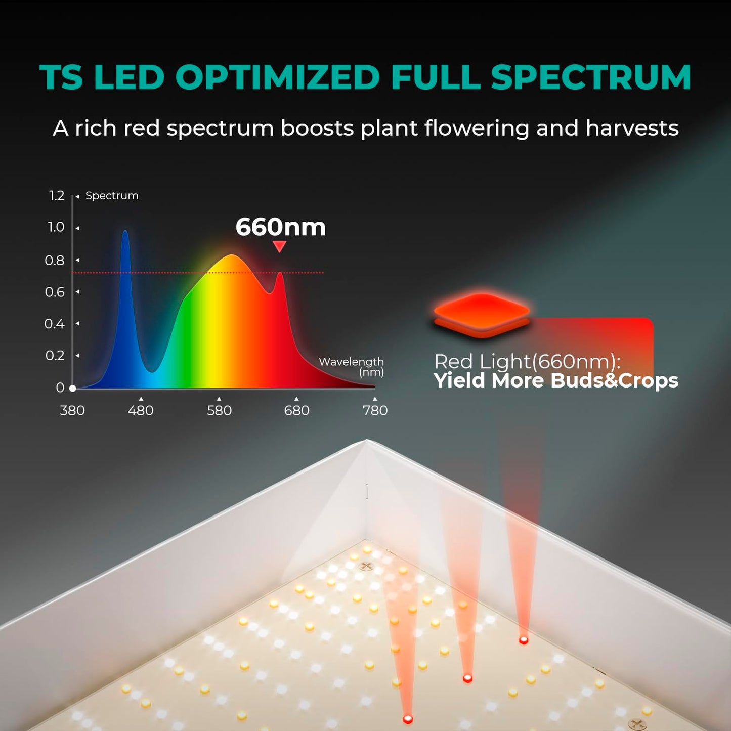 MARSHYDRO TS 1000 LED Grow Light 3X3ft Full Spectrum for Indoor Plants Newest Dimmable LED Grow Lights Daisy Chain Grow Lights for Seeding Veg Flower Growing Lamp Plant Lights for 100x100CM