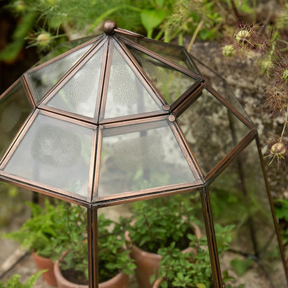 Crocus Collection 52cm Victorian Lidded Bronze Lantern Cloche Growhouse Brass Glass Plant Frost Protection Decoration