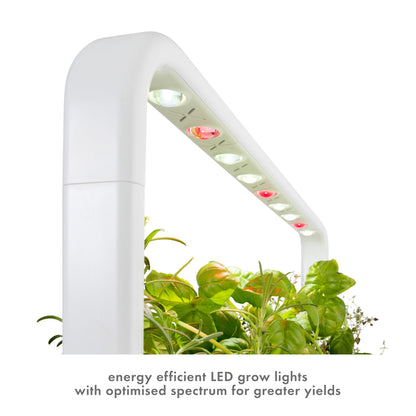 Click & Grow Indoor Herb Garden Kit with Grow Light | Easier than Hydroponics Growing System | Smart Garden for Home Kitchen Windowsill | Vegetable & Herb Garden Starter Kit with 9 plant pods, Gray