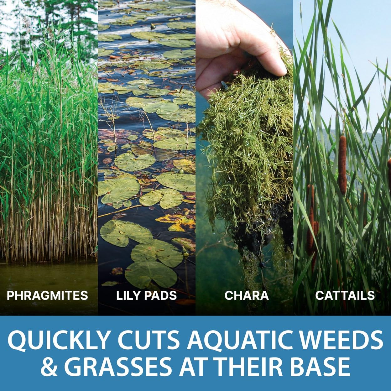 Weed Razer Express Aquatic Weed Cutter for Lakes, Ponds & Beaches