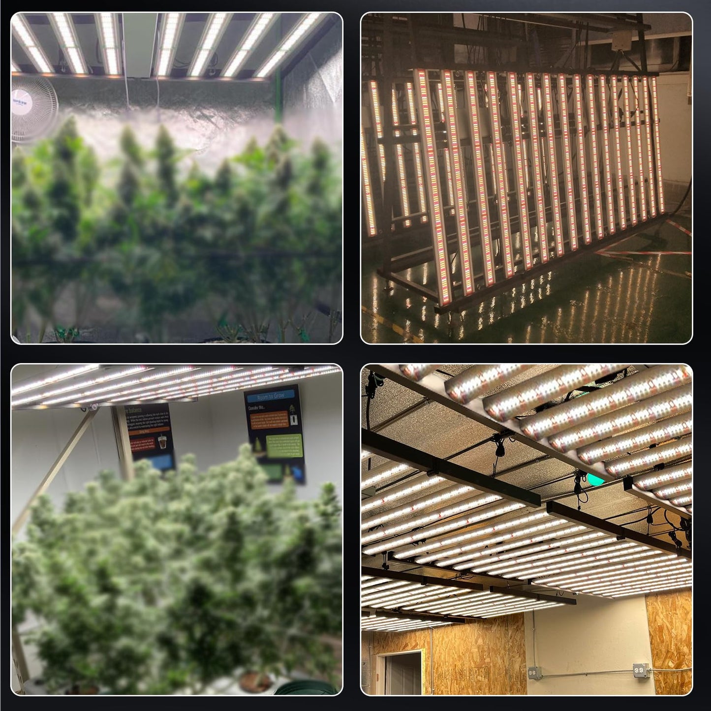 Phlizon FD9600 1000W Plant Led Grow Light for Indoor Plants Daisy Chain Dimmable Grow Light with LM281B & Brand Driver Grow for 120 * 120cm to 180x180cm Coverage Full Spectrum Growing Lamps (FD9600)