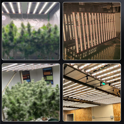 Phlizon FD9600 1000W Plant Led Grow Light for Indoor Plants Daisy Chain Dimmable Grow Light with LM281B & Brand Driver Grow for 120 * 120cm to 180x180cm Coverage Full Spectrum Growing Lamps (FD9600)