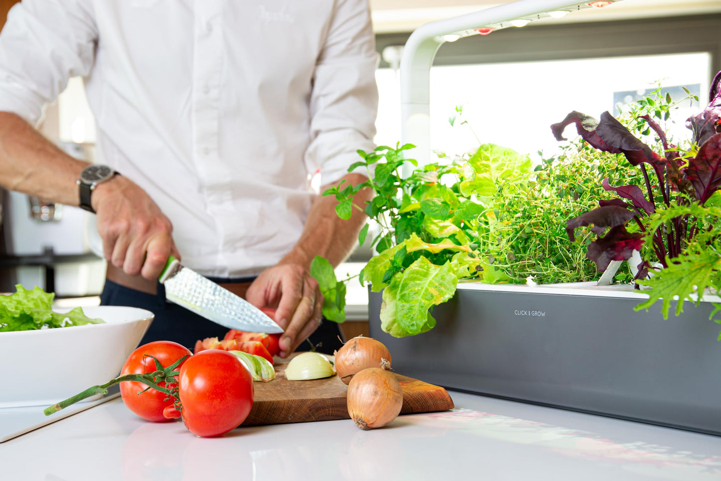 Click & Grow Indoor Herb Garden Kit with Grow Light | Easier than Hydroponics Growing System | Smart Garden for Home Kitchen Windowsill | Vegetable & Herb Garden Starter Kit with 9 plant pods, Gray