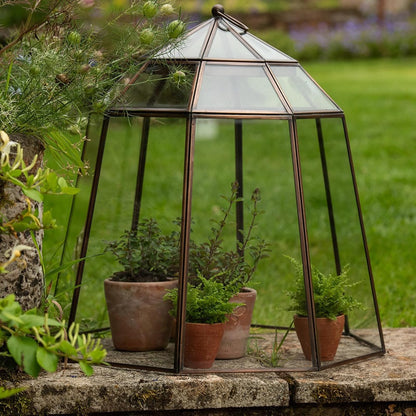 Crocus Collection 52cm Victorian Lidded Bronze Lantern Cloche Growhouse Brass Glass Plant Frost Protection Decoration