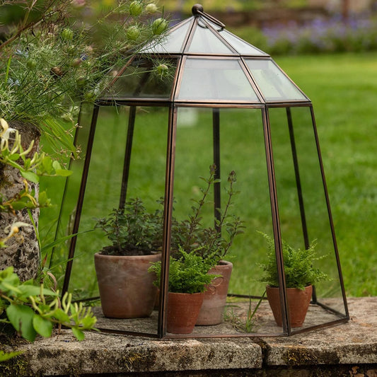 Crocus Collection 52cm Victorian Lidded Bronze Lantern Cloche Growhouse Brass Glass Plant Frost Protection Decoration