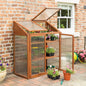 Rowlinson HWGROWST2 Hardwood Mini Greenhouse, Brown, 120x63x144 cm
